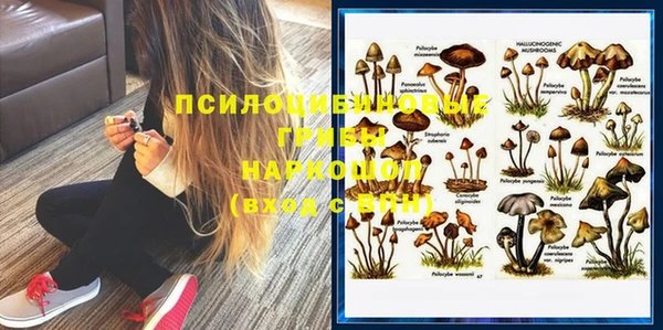 PSILOCYBIN Белокуриха